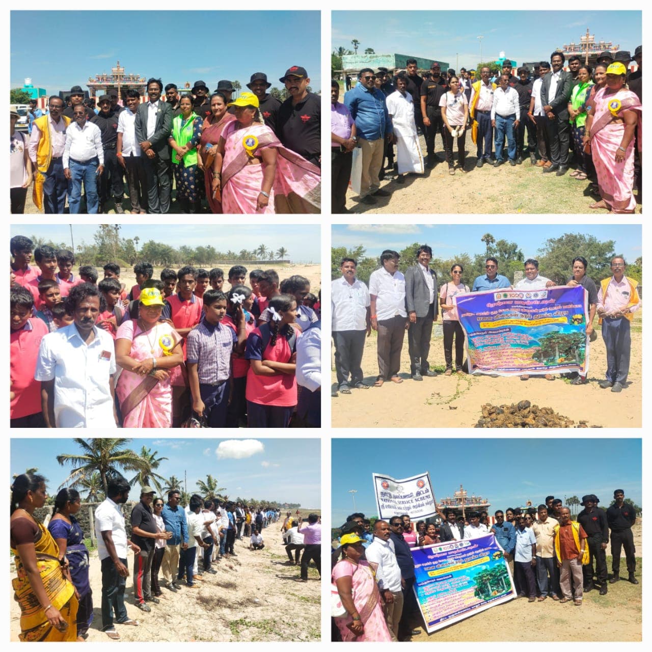 Palm Tree Conservation & Environmental Sustainability