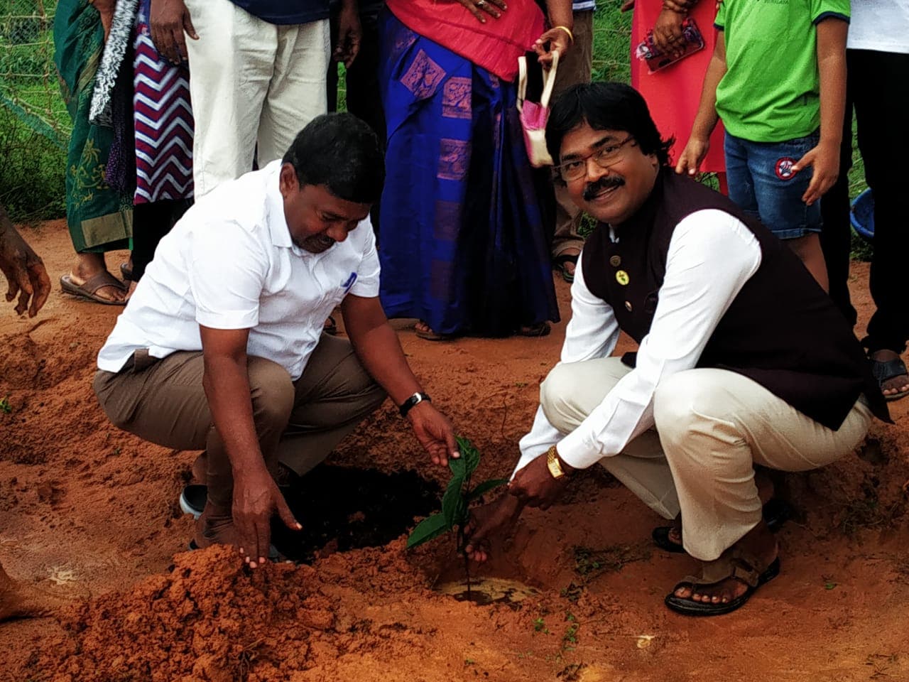 Palm Tree Conservation & Environmental Sustainability image 12