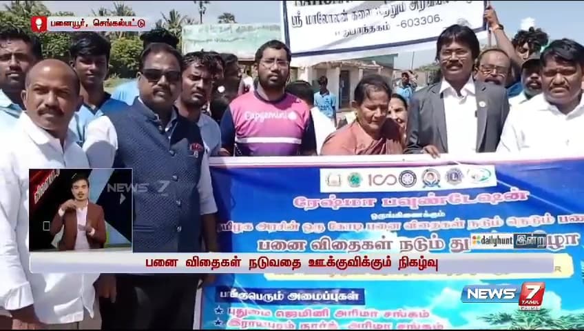 Palm Tree Conservation & Environmental Sustainability image 13
