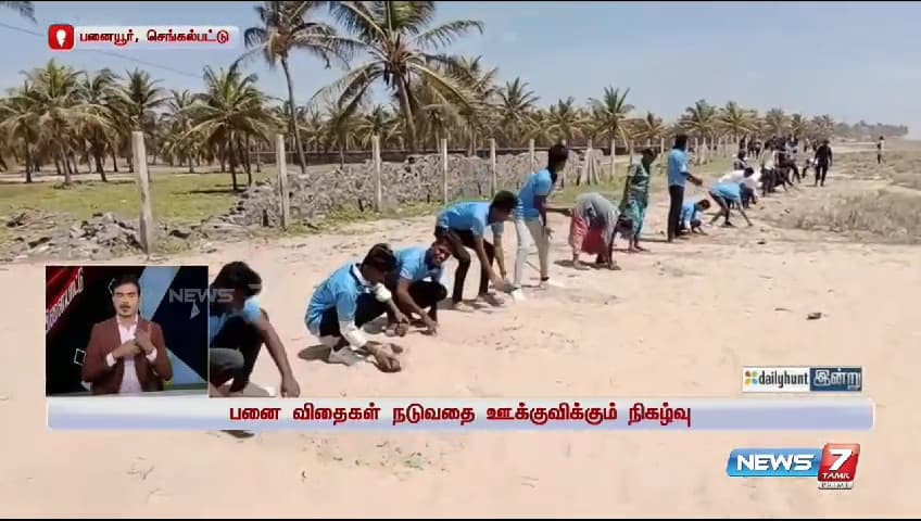 Palm Tree Conservation & Environmental Sustainability image 14