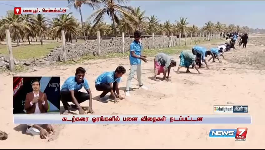 Palm Tree Conservation & Environmental Sustainability image 15
