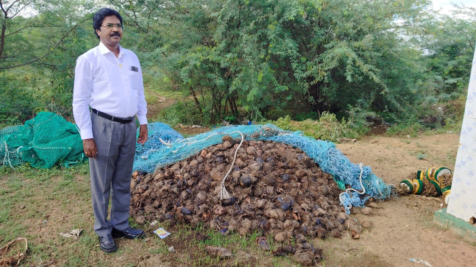 Palm Tree Conservation & Environmental Sustainability image 17