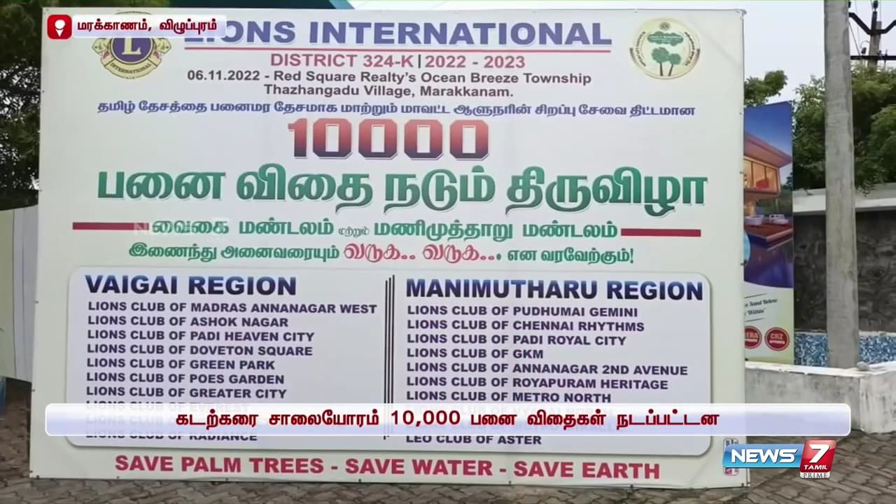 Palm Tree Conservation & Environmental Sustainability image 22