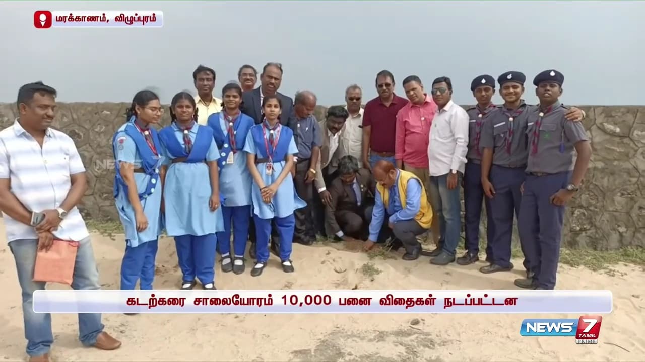Palm Tree Conservation & Environmental Sustainability image 3