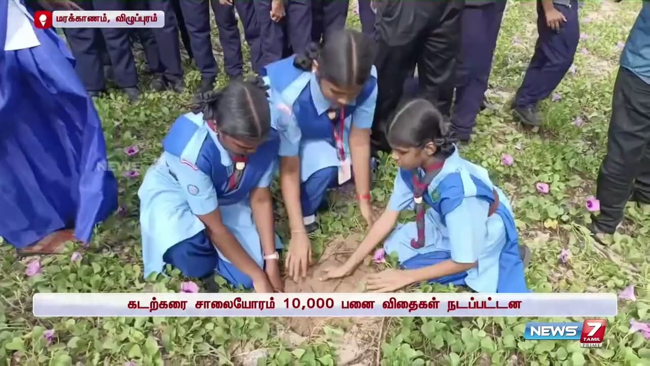 Palm Tree Conservation & Environmental Sustainability image 4