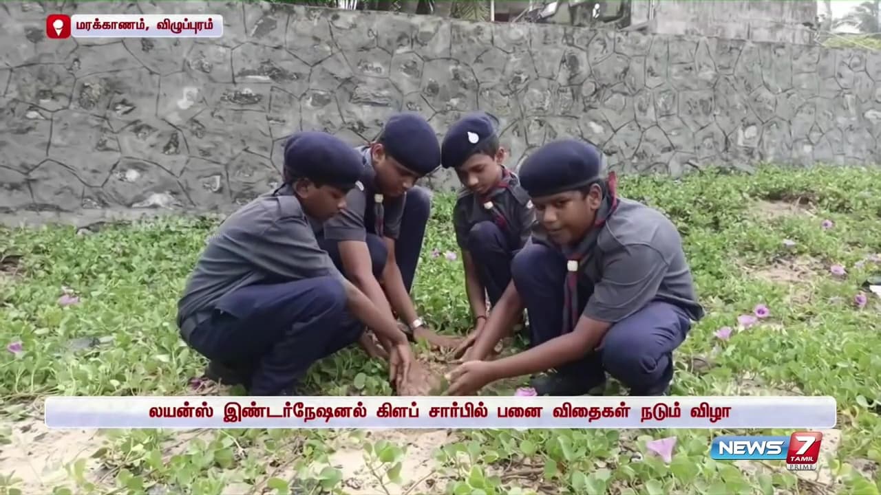 Palm Tree Conservation & Environmental Sustainability image 5